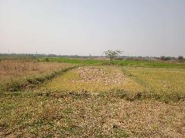  Agricultural Land for Sale in Mansanpalle, Rangareddy