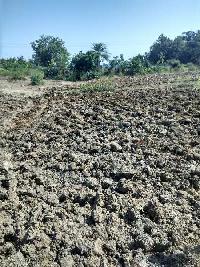 Agricultural Land for Sale in Yellareddy, Nizamabad