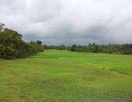 Agricultural Land for Sale in Wadgaon B. K, Pune