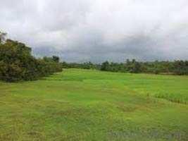  Commercial Land for Rent in Wagholi, Pune