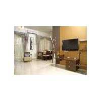 1 BHK Apartment 560 Sq.ft. for Rent in