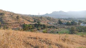 2 Ares Agricultural Land for Sale in Lonavala, Pune