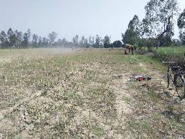  Agricultural Land for Sale in Biswan, Sitapur