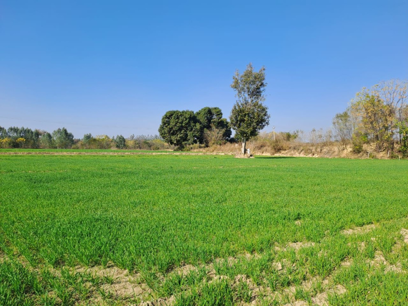 Agricultural Land 100 Bigha for Sale in Faizabad Road, Lucknow