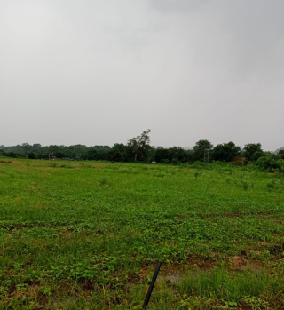  Agricultural Land for Sale in Baheri, Bareilly