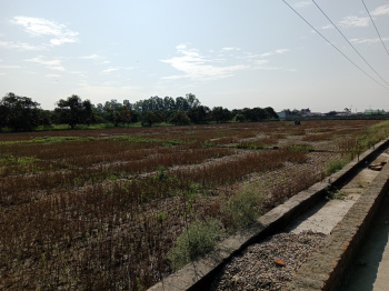  Residential Plot for Sale in Pratappur, Kashipur
