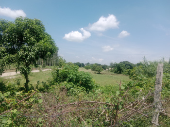  Agricultural Land for Sale in Bail Parao, Nainital