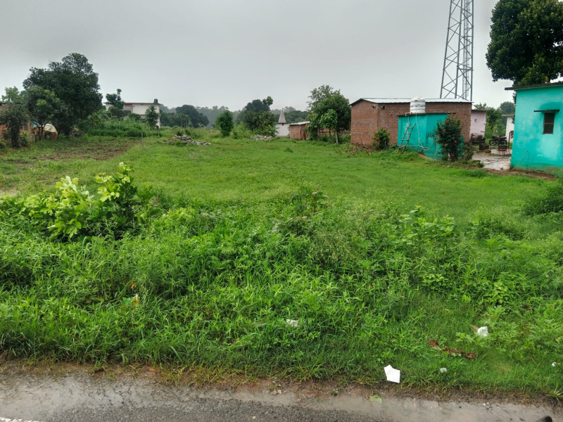  Residential Plot 18 Bigha for Sale in Kotabagh, Nainital