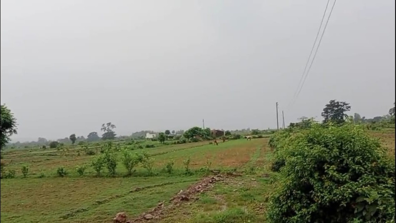  Residential Plot 15 Bigha for Sale in Kotabagh, Nainital