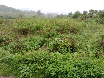  Residential Plot for Sale in Kotabagh, Nainital