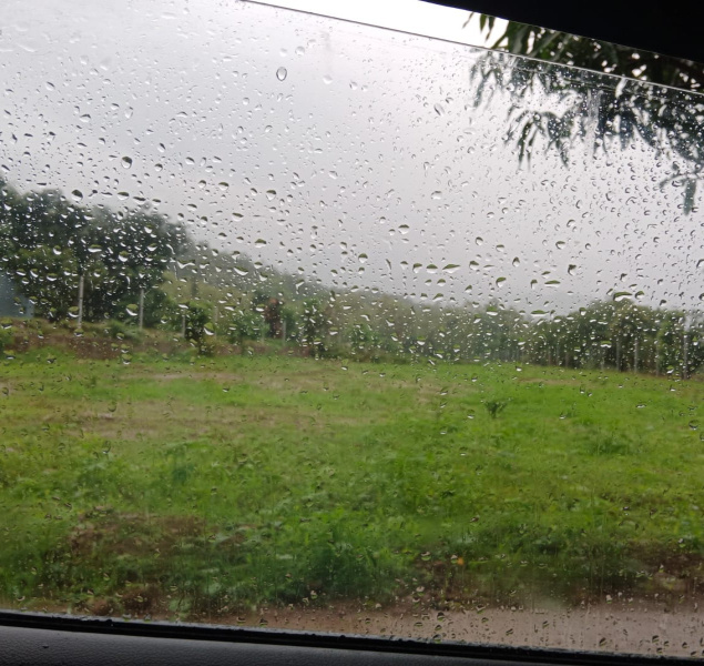  Residential Plot 200 Sq. Yards for Sale in Kotabagh, Nainital