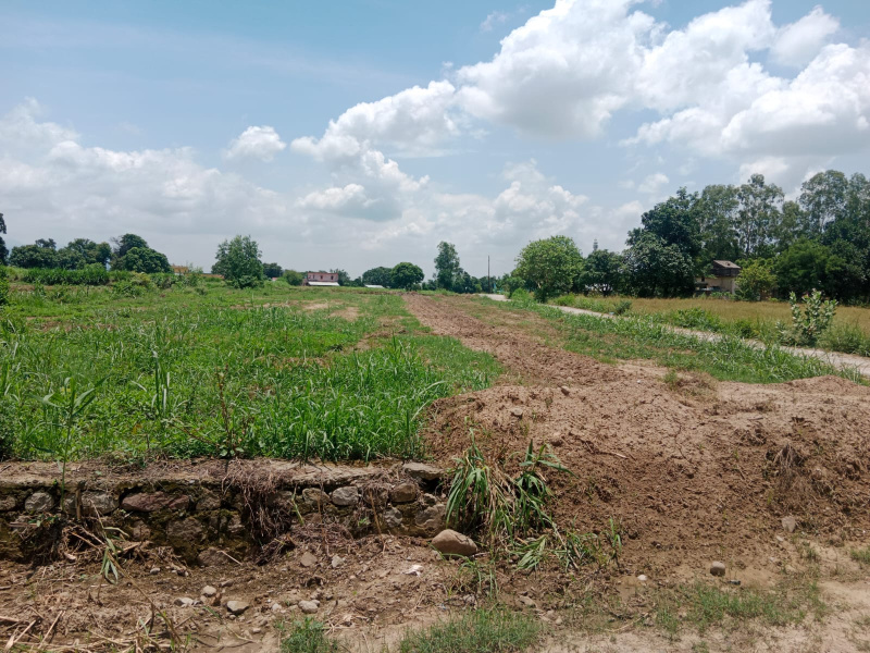  Residential Plot 200 Sq. Yards for Sale in Rudrapur Udham, Udham Singh Nagar