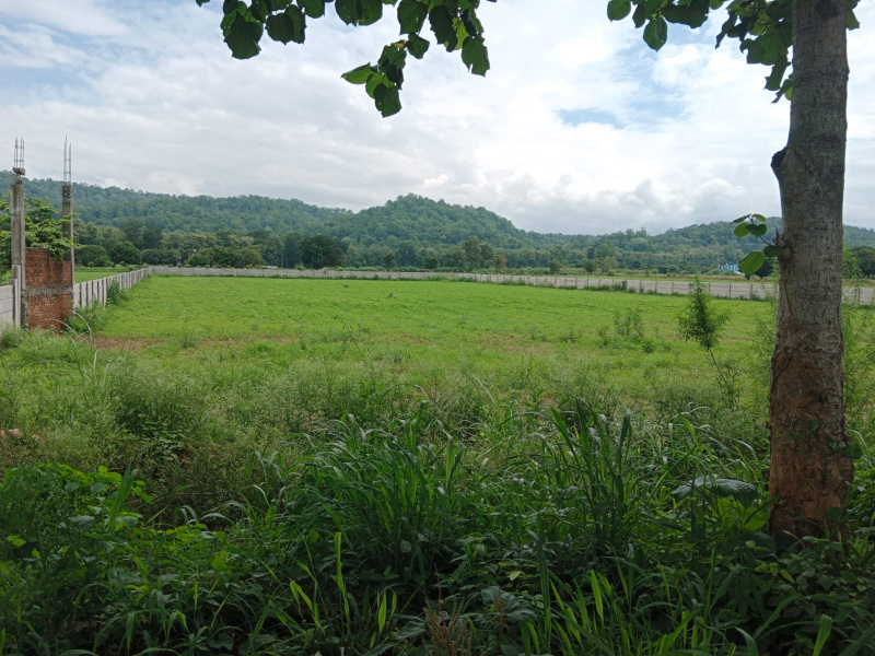  Residential Plot 7 Bigha for Sale in Bail Parao, Nainital