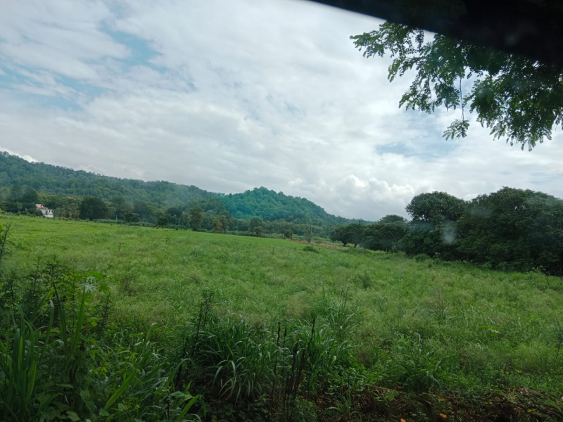  Residential Plot 3 Bigha for Sale in Bail Parao, Nainital