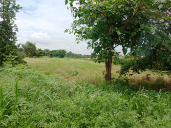  Residential Plot for Sale in Bail Parao, Nainital