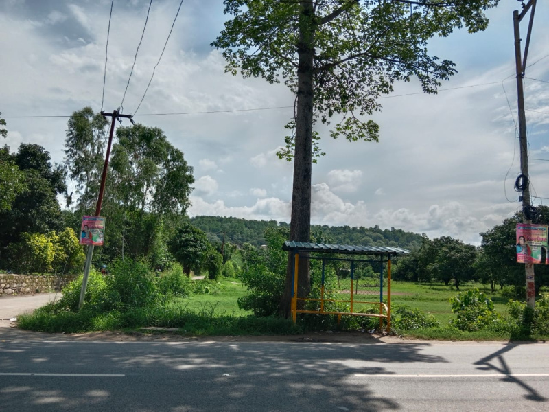  Residential Plot 3 Bigha for Sale in Ramnagar, Nainital