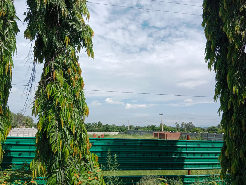 7 Bigha Residential Plot for Sale in Bail Parao, Nainital