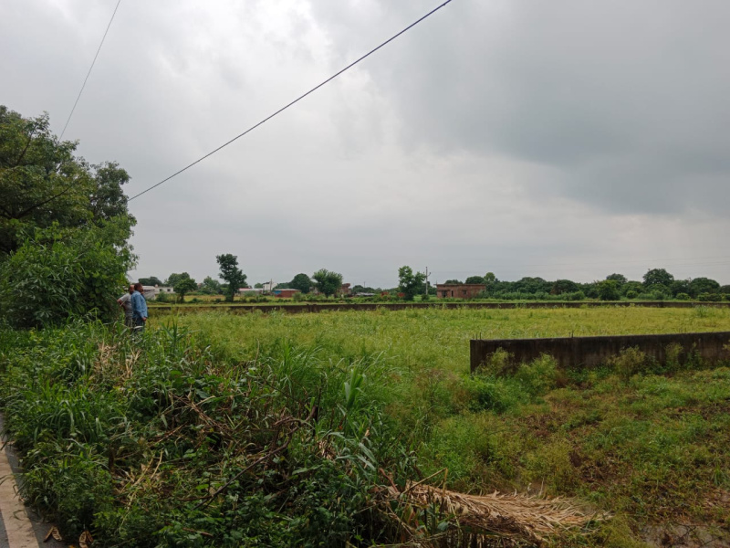  Residential Plot 6 Bigha for Sale in Bail Parao, Nainital