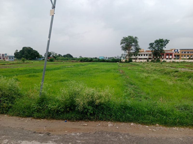  Residential Plot 9 Bigha for Sale in Peerumadara, Nainital