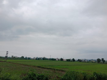  Residential Plot for Sale in Peerumadara, Nainital