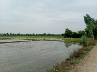  Residential Plot for Sale in Peerumadara, Nainital