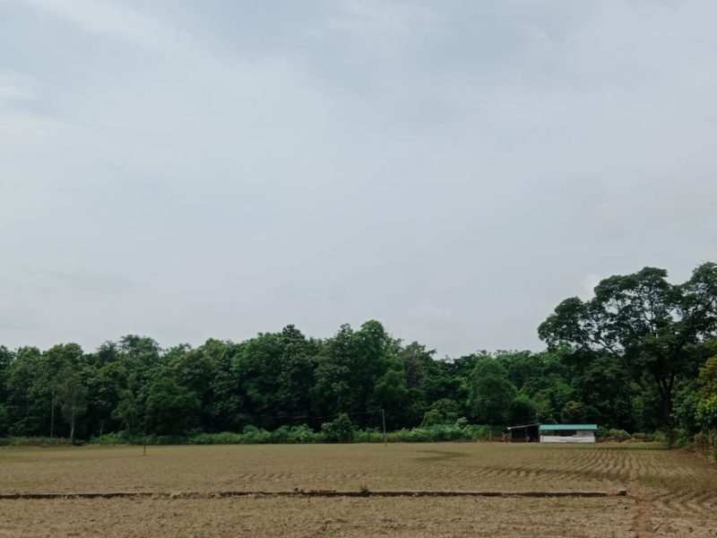 Residential Plot 9 Bigha for Sale in Kaladhungi, Nainital