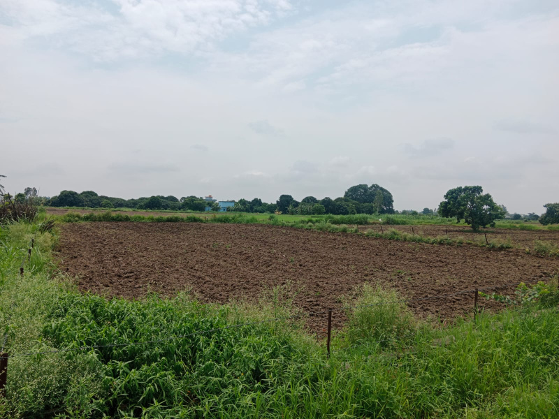  Residential Plot 2 Bigha for Sale in Kaladhungi, Nainital