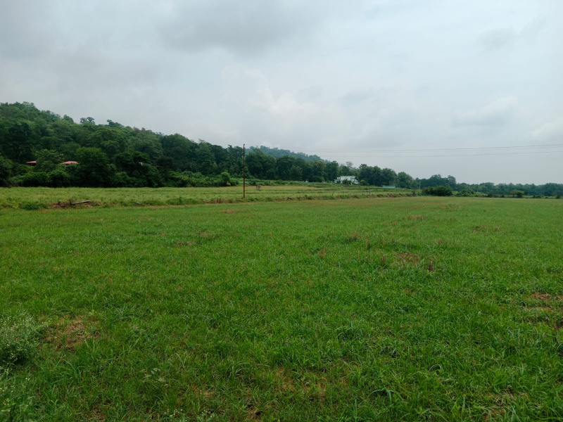  Residential Plot 22 Bigha for Sale in Kaladhungi, Nainital