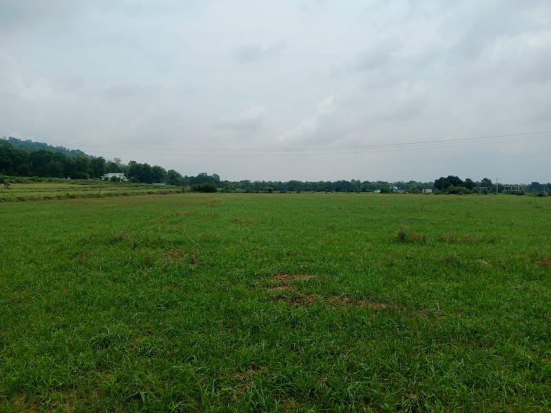  Residential Plot 22 Bigha for Sale in Kaladhungi, Nainital