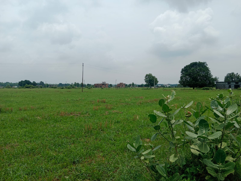  Residential Plot 22 Bigha for Sale in Kaladhungi, Nainital