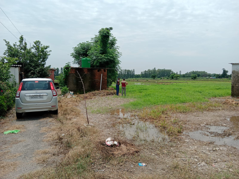  Residential Plot 6 Bigha for Sale in Bail Parao, Nainital