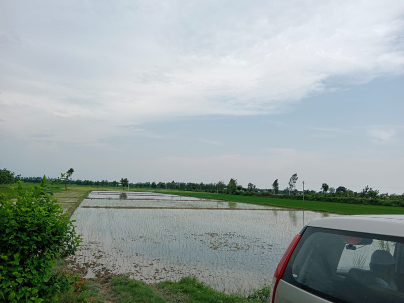  Agricultural Land 2 Acre for Sale in Bajpur, Udham Singh Nagar