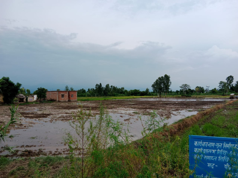  Agricultural Land 2 Acre for Sale in Bajpur, Udham Singh Nagar