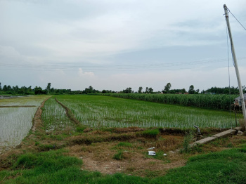  Agricultural Land for Sale in Bajpur, Udham Singh Nagar