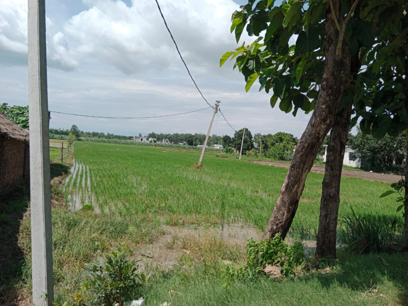  Agricultural Land 2 Acre for Sale in Kichha, Udham Singh Nagar