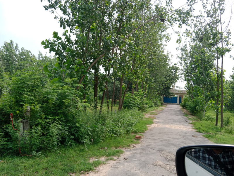  Agricultural Land 52 Acre for Sale in Mundha Pande, Moradabad