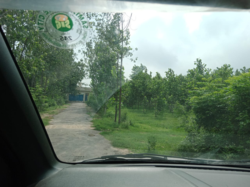  Agricultural Land 52 Acre for Sale in Mundha Pande, Moradabad