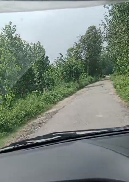  Agricultural Land 52 Acre for Sale in Mundha Pande, Moradabad