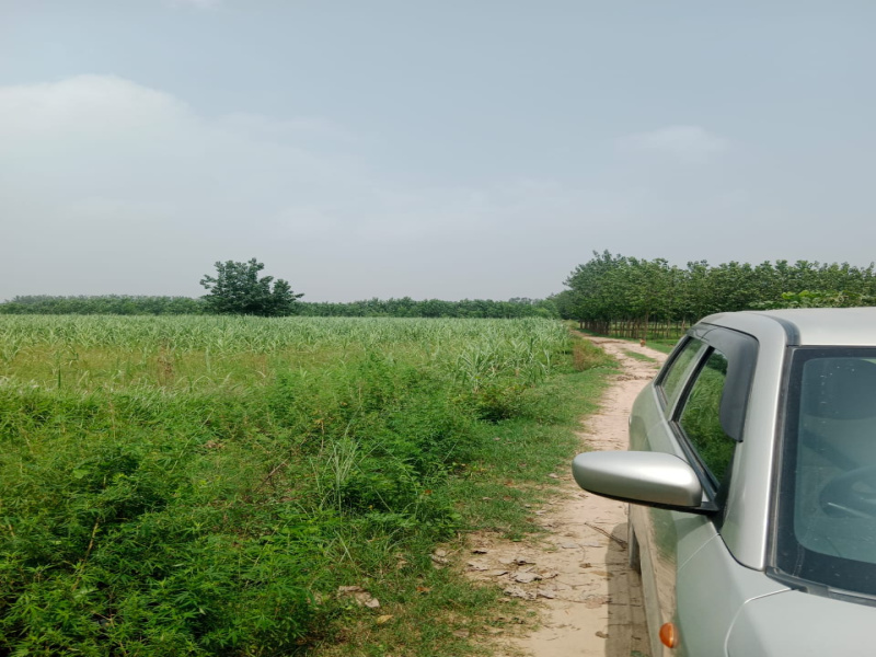  Agricultural Land 45 Acre for Sale in Deputy Ganj, Moradabad