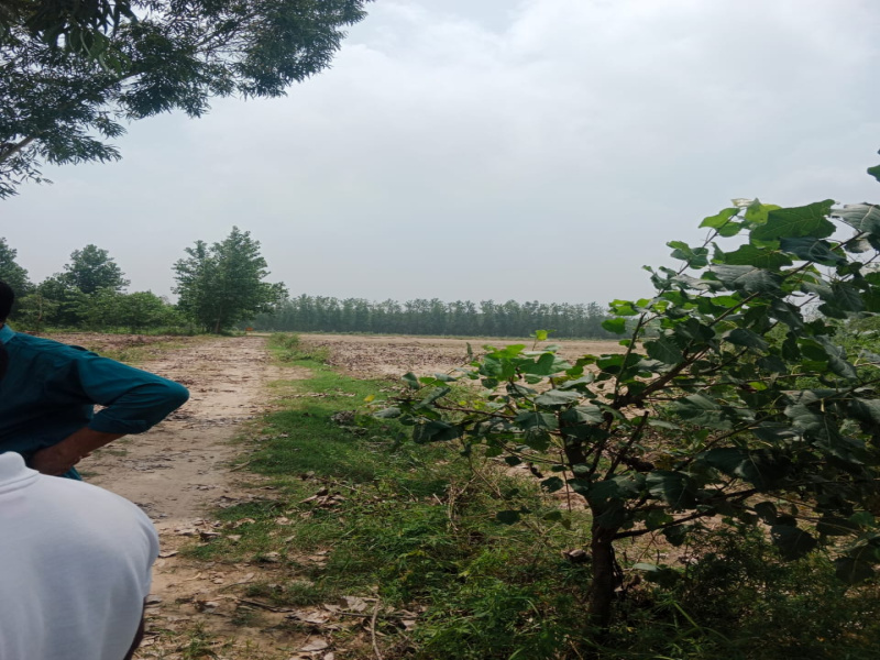  Agricultural Land 45 Acre for Sale in Deputy Ganj, Moradabad