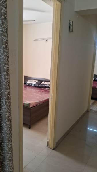 2 BHK Apartment 820 Sq.ft. for Rent in Alwar Bypass Road, Alwar Bypass Road, Bhiwadi