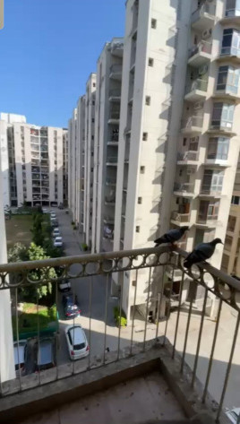 3 BHK 1490 Sq.ft. Apartment for Sale in Alwar Bypass Road, Bhiwadi