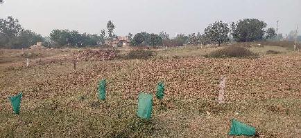  Commercial Land for Sale in Rampur Baghelan, Satna
