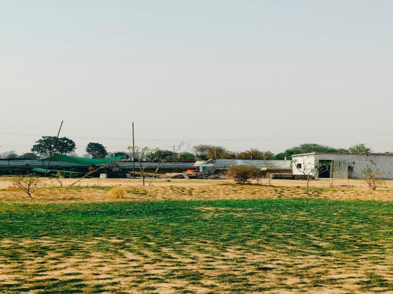  Residential Plot 100 Sq. Yards for Sale in Chandigarh-Ludhiana Highway, Mohali