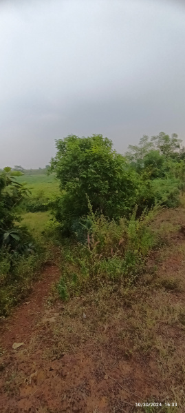  Agricultural Land 4 Acre for Sale in Chikpet, Bidar