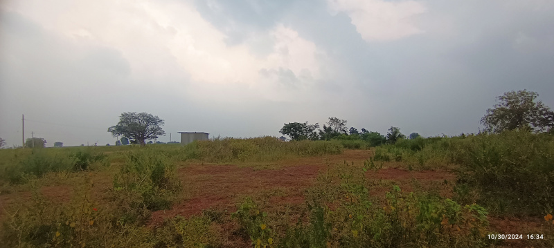  Agricultural Land 4 Acre for Sale in Chikpet, Bidar