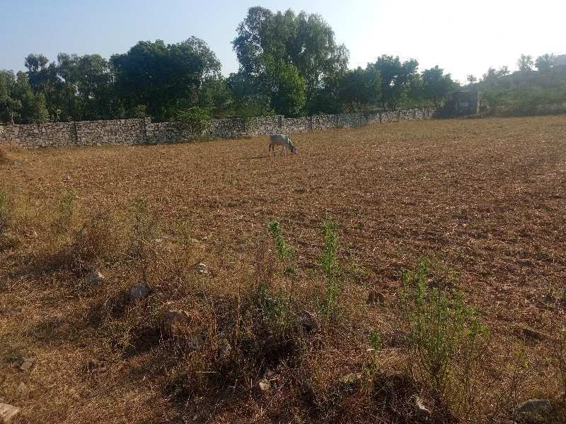Agricultural Land 22000 Sq.ft. for Sale in NH 8, Ajmer