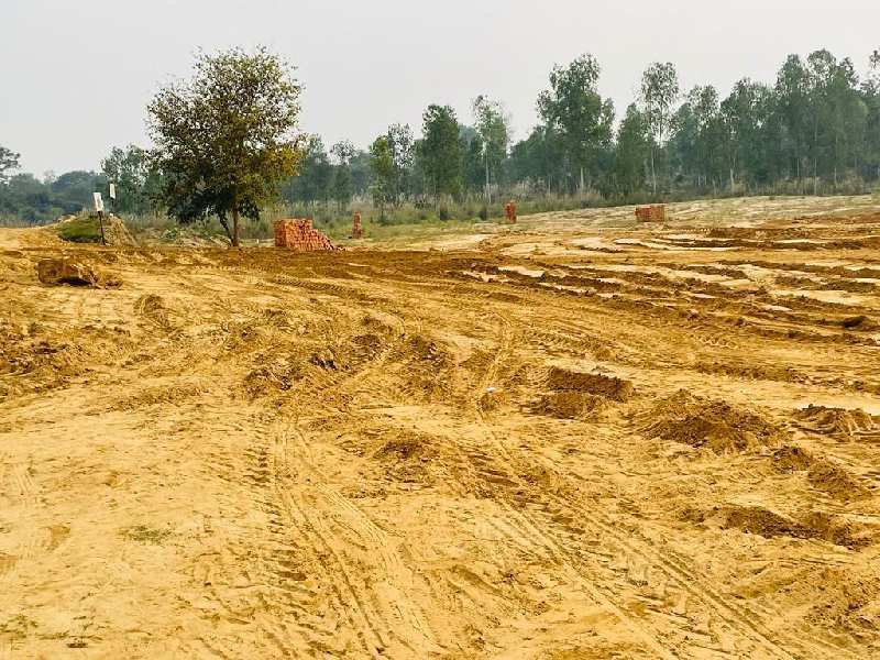  1000 Sq.ft. Residential Plot for Sale in Sultanpur Road, Lucknow