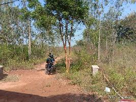  Residential Plot for Sale in Athagad, Cuttack