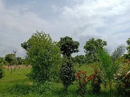  Agricultural Land for Sale in Nadiad express way, Nadiad